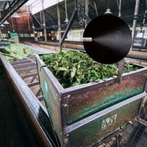 misting system for tea factory humidification
